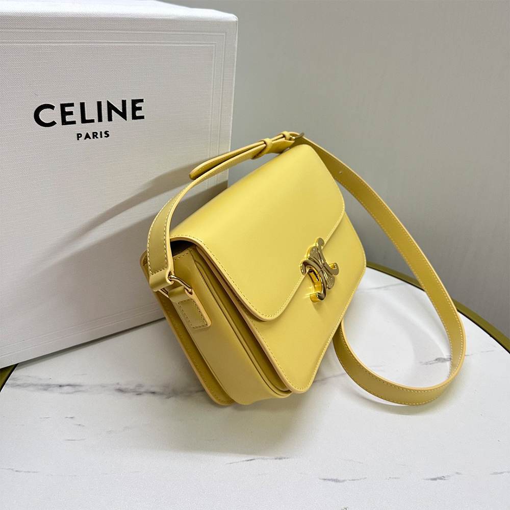 Ce1i*e TEEN TRIOMPHE BAG IN shiny calfskin(HIGH-END GRADE)