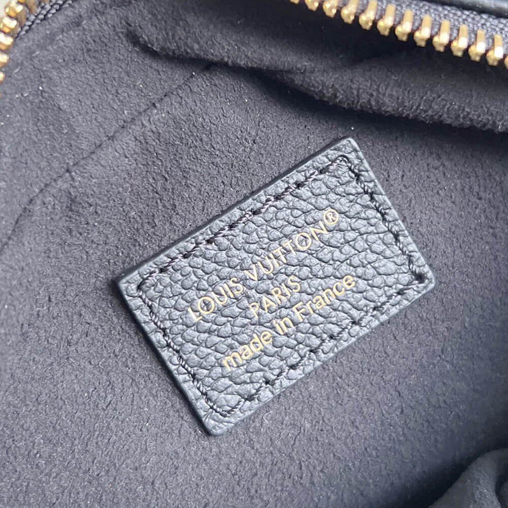 LV Tiny Camera Bag